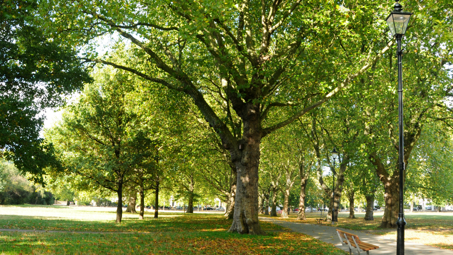 improve green spaces